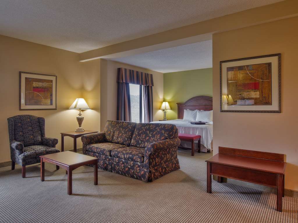 Hampton Inn Kingsport Pokój zdjęcie